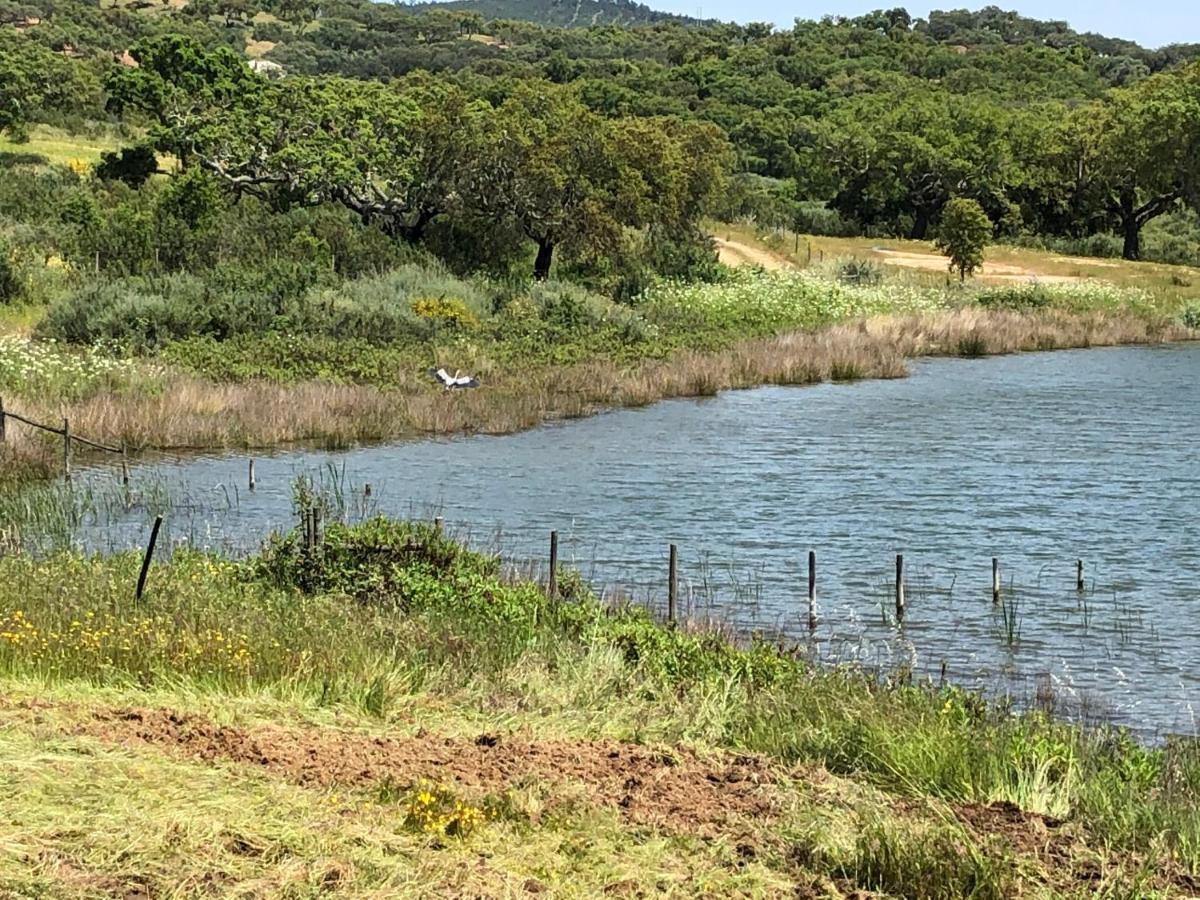 Fontes - A Essencia Do Alentejo Com Lago Privado Редонду Экстерьер фото